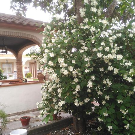 Vivienda Turistica Rural Mari Carmen Villa Baeza Ngoại thất bức ảnh